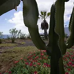 Casa La Seba * Punta Mujeres